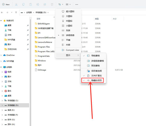 Win11如何查看隐藏文件?