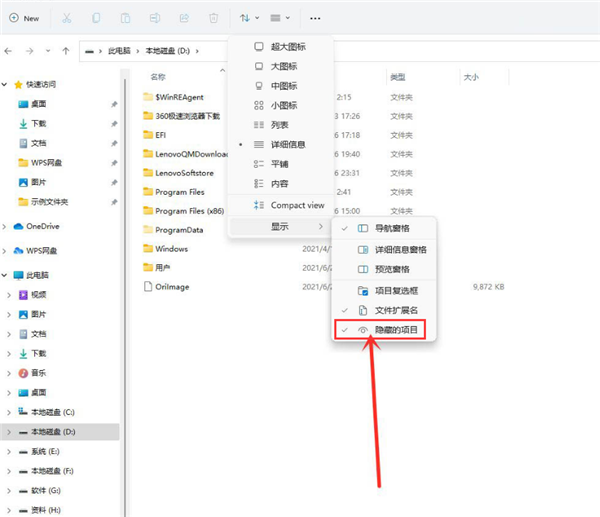 Win11怎么查看隐藏项目?