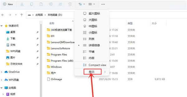 Win11怎么查看隐藏项目?