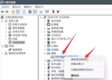 Win11键盘鼠标失灵怎么版?