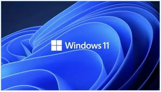 Win11更新完出现闪屏怎么解决?Win11闪屏解决方法