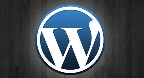 WordPress获取搜索表单函数get_search_form用法
