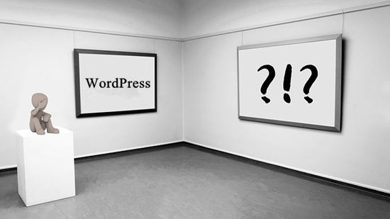 WordPress 博客什么时候才需要使用缓存插件？ 建站经验 第1张