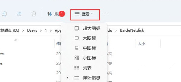 Win11如何展示文件扩展名?