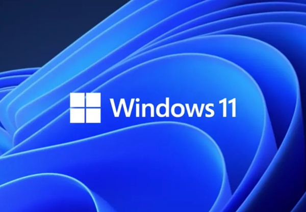 Win11的更新文件在哪里?Win11更新文件的位置