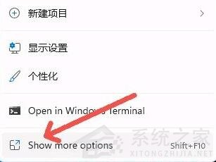 Win11右键菜单太大怎么办?Win11右键菜单大小怎么调整