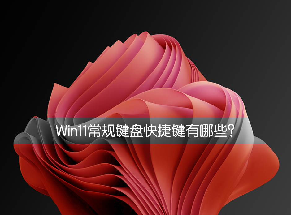 Win11常规键盘快捷键有哪些?