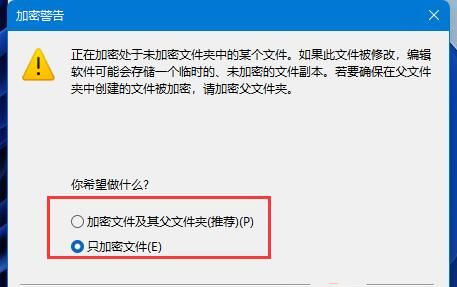 Win11如何加密文档?