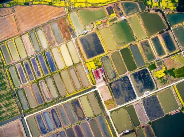 无锡十大钓鱼好地方2025年排行榜前十名榜单出炉 无锡十大钓鱼好地方2025年排行榜前十名榜单出炉