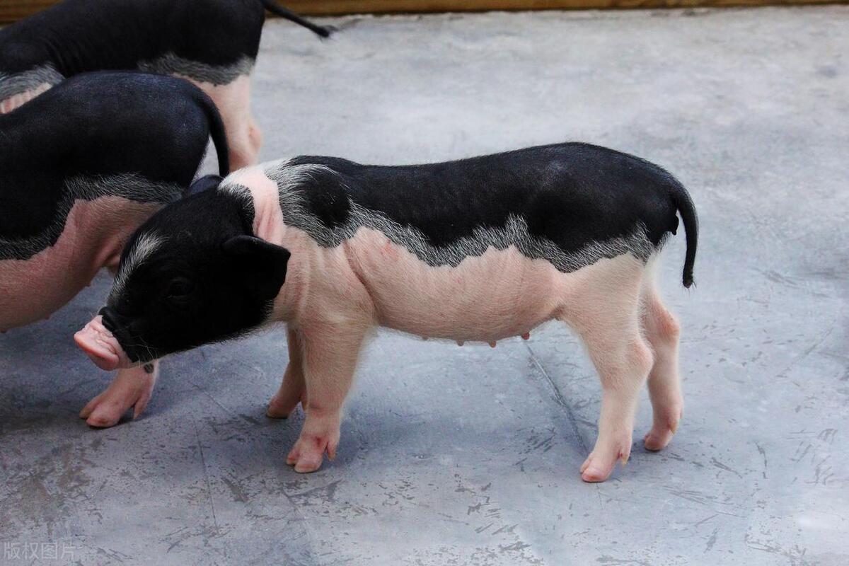 中国股市十大最牛散户2025年排行榜前十名榜单出炉