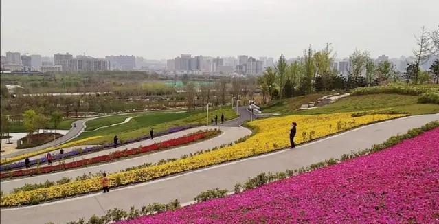 西安最美的十大公园2025年排行榜前十名榜单出炉 西安最美的十大公园2025年排行榜前十名榜单出炉