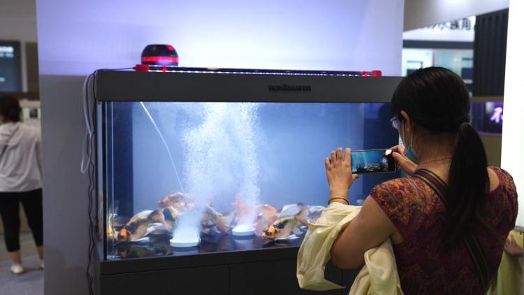 山东十大展会2025年排行榜前十名榜单出炉 山东十大展会2025年排行榜前十名榜单出炉