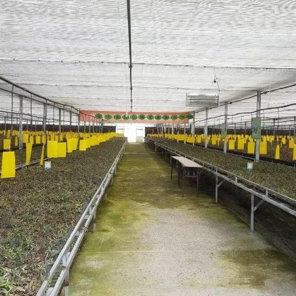 宁波十大家庭旅游好去处2025年排行榜前十名榜单出炉 宁波十大家庭旅游好去处2025年排行榜前十名榜单出炉