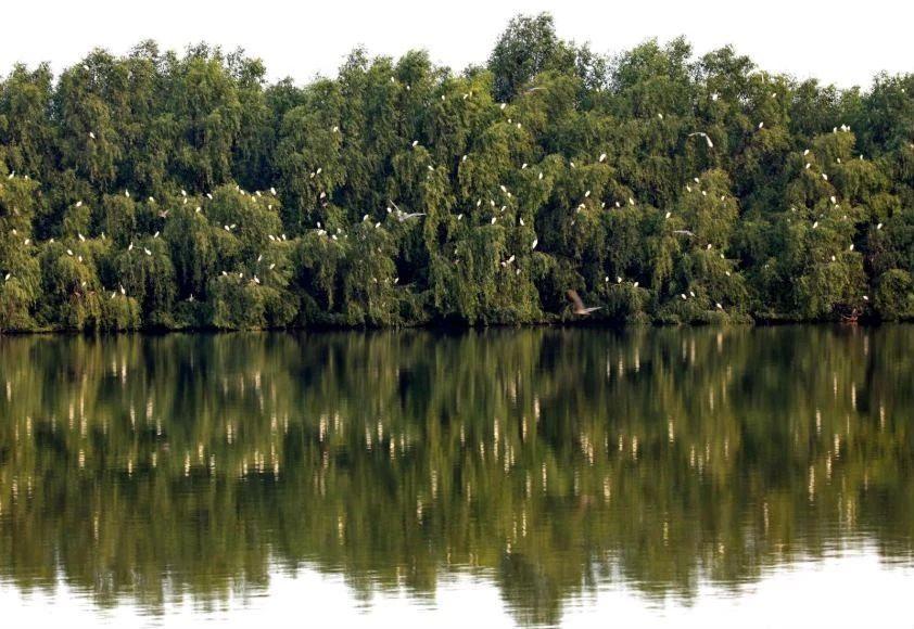 中国十大最美海滩2025年排行榜前十名榜单出炉