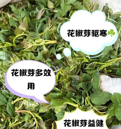 香酥花椒芽制作方法详解